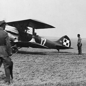 SPAD 61C1 "White 17", (PZL made), 1929