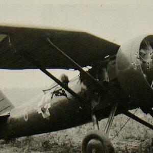 PZL P-7a "Blue 6", 151 FS, Poland, 1939 (1)