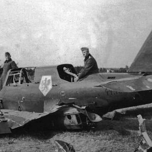 Shot down PZL 23 Karaś "White 9",  41 Squadron, 1939 (1)