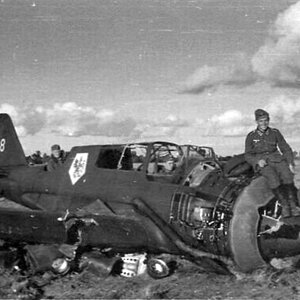 Shot down PZL 23 Karaś "White 8", 41 Squadron, 1939 (4)
