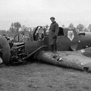 Shot down PZL 23 Karaś "White 8", 41 Squadron, 1939 (5)