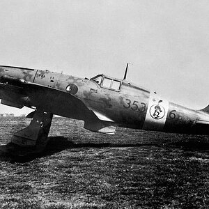 Macchi Mc.202 Folgore, 51° Stormo, 353° Squadriglia, no.353-6, 1943