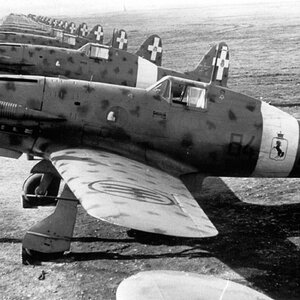 Macchi MC.202 Folgore, 10° Gruppo, 84° Squadriglia, no.84-2