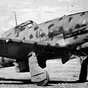 Macchi MC.202 Folgore, 4° Stormo, 10° Gruppo, 90° Squadriglia, no.90-4, Libya 1942 (2)