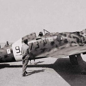 Macchi MC.200 Saetta, 373° Squadriglia, 153° Gruppo, no.373-9, Libya1941 (2)