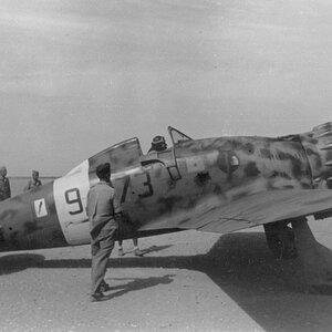 Macchi MC.200 Saetta, 373° Squadriglia, 153° Gruppo, no.373-9, Libya1941 (1)
