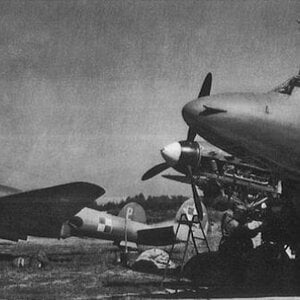 Petlyakov Pe-2 FT of the Polish AF at the  Leźnica Wielka airfield, 1947