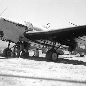 Tupolev ANT-25 reg. URSS-N025-1 at San Jacinto, July 1937 (4)