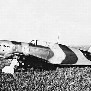Yakovlev Yak-7-37 no.7-37 armed with 37mm cannon Sch-37
