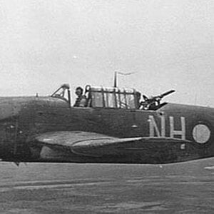 Vultee A-31 Vengeance, code NH-L, no. 12 Sqdn RAAF, New Guinea, 1943 (2)