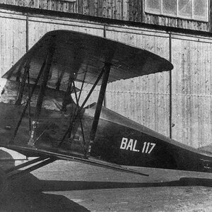 Ansaldo A.1 Balilla no.BAL.117 of the Polish AF (1)