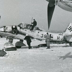 Ju-87D of the StG5 (J9+FH) in the winter camouflage