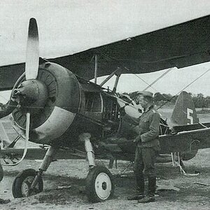 Polikarpov I-15Bis "White 5"captured in  1941