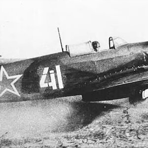 Yakovlev Yak-9D "White 41"