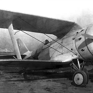 Polikarpov I-153, 1940