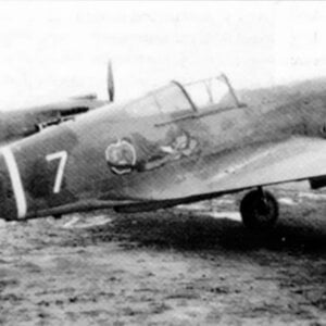 Curtiss Hawk 81A no.P-8194, "White 7", AVG, 1942