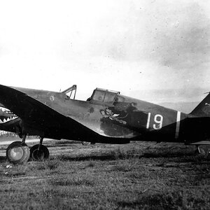 Curtiss Hawk 81A, no.P-8146, "White 19", AVG, 1942