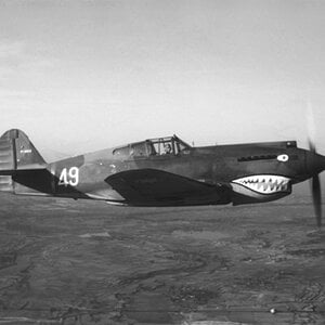 Curtiss Hawk 81A, "White 49", AVG, 1942