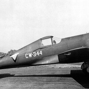 Curtiss-Wright CW-21B "White CW-344", 1941 (1)