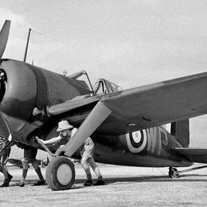 Brewster F2A Buffalo, W8142, No. 243 Squadron RAF, Kallang, Singapore, 1941