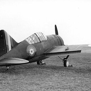 Brewster F2A Buffalo, RAF AS412, 1940 (3)