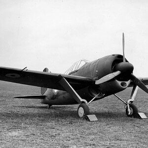 Brewster F2A Buffalo, RAF AS412, 1940 (2)