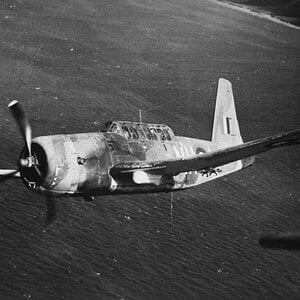 Vultee A-31 Vengeance, code NH-L, no. 12 Sqdn RAAF, New Guinea, 1943 (3)