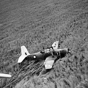 RAAF 24 Sqn Vultee Vengeance crashed in New Guinea, 1944 (2)