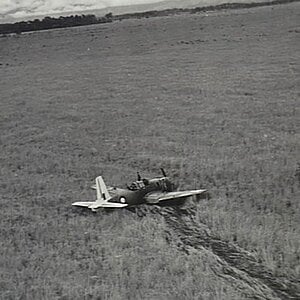 RAAF 24 Sqn Vultee Vengeance crashed in New Guinea, 1944 (1)