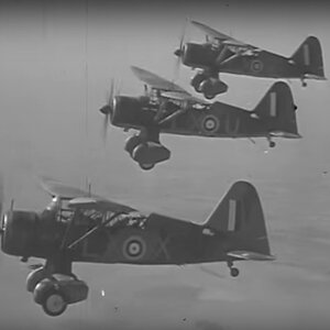 Westland Lysander of no.255 Squadron, 1940 (1)