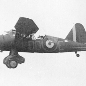 Westland Lysander II , OO-E , no. 13 Squadron