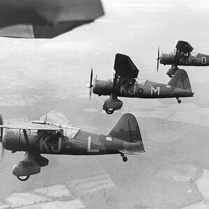 Western Lysander Mk.I , KJ-L, KJ-M, KJ-O of no. 16 Squadron in flight