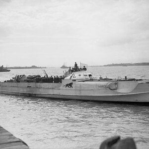 The German Schnellboote S-204 surrenders at Felixstowe, 13 May 1945 (1)