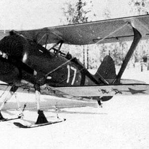 Polikarpov I-15bis "White 17" on skis