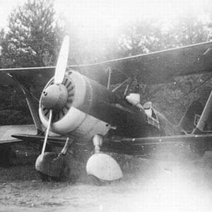 Polikarpov I-15bis and I-16 captured in 1941
