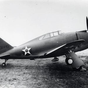 Republic P-43A-1 Lancer s/n. 41-31449 (3)