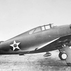 Republic P-43A-1 Lancer s/n. 41-31449 (2)