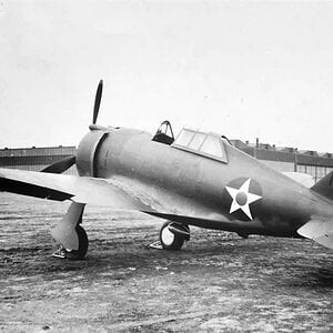 Republic P-43A-1 Lancer s/n. 41-31449 (1)