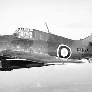 Grumman Martlet Mk.I s/n. BJ513, 1940