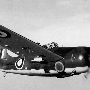 Grumman Martlet Mk.I s/n. BJ513, 1940