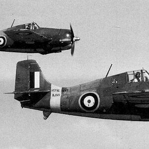 Grumman Martlet Mk.I FAA 804NAS, 1940 (b)