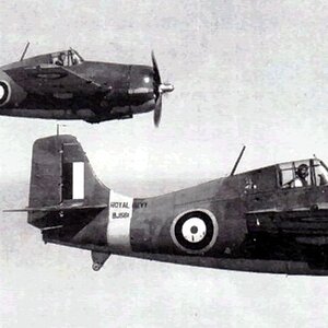 Grumman Martlet Mk.I FAA 804NAS, 1940 (a)