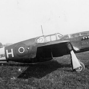 Mustang Mk.I s/n. AL966, RAF