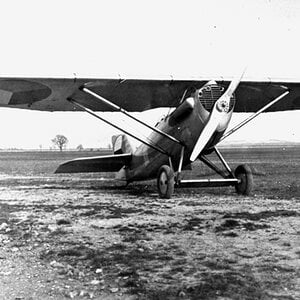 Škoda-Dewoitine D.1 (Škoda D-1) licenced Dewoitine D.21 C.1 built in Czechoslovakia by the Škoda factory in 20' (4)