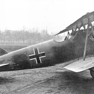 Pfalz D.XII no.2690/18