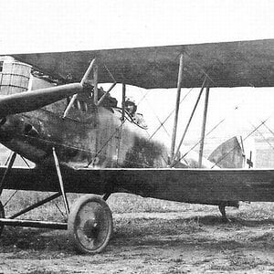 Pfalz D.XII no. 2670/18 (1)