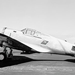 Curtiss P-36A of the 79th Pursuit Squadron, 20th Pursuit Group, Oakland, 1940