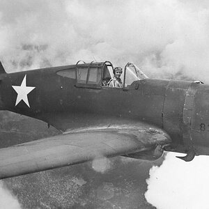 Curtiss P-36A 8137
