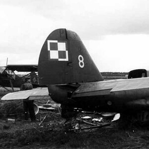 Shot down PZL 23 Karaś "White 8", s/n. 44.217, 41 Squadron, 1939 (7)