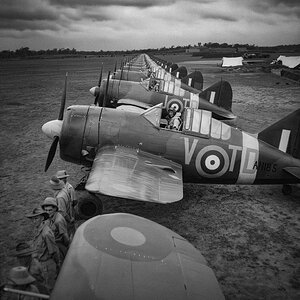 RAF Brewster Buffalo Mk.I